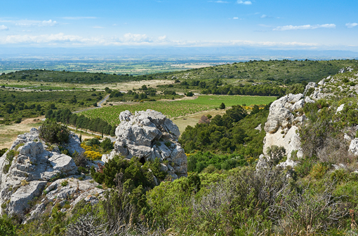 La Vendemiaire, Languedoc Wine